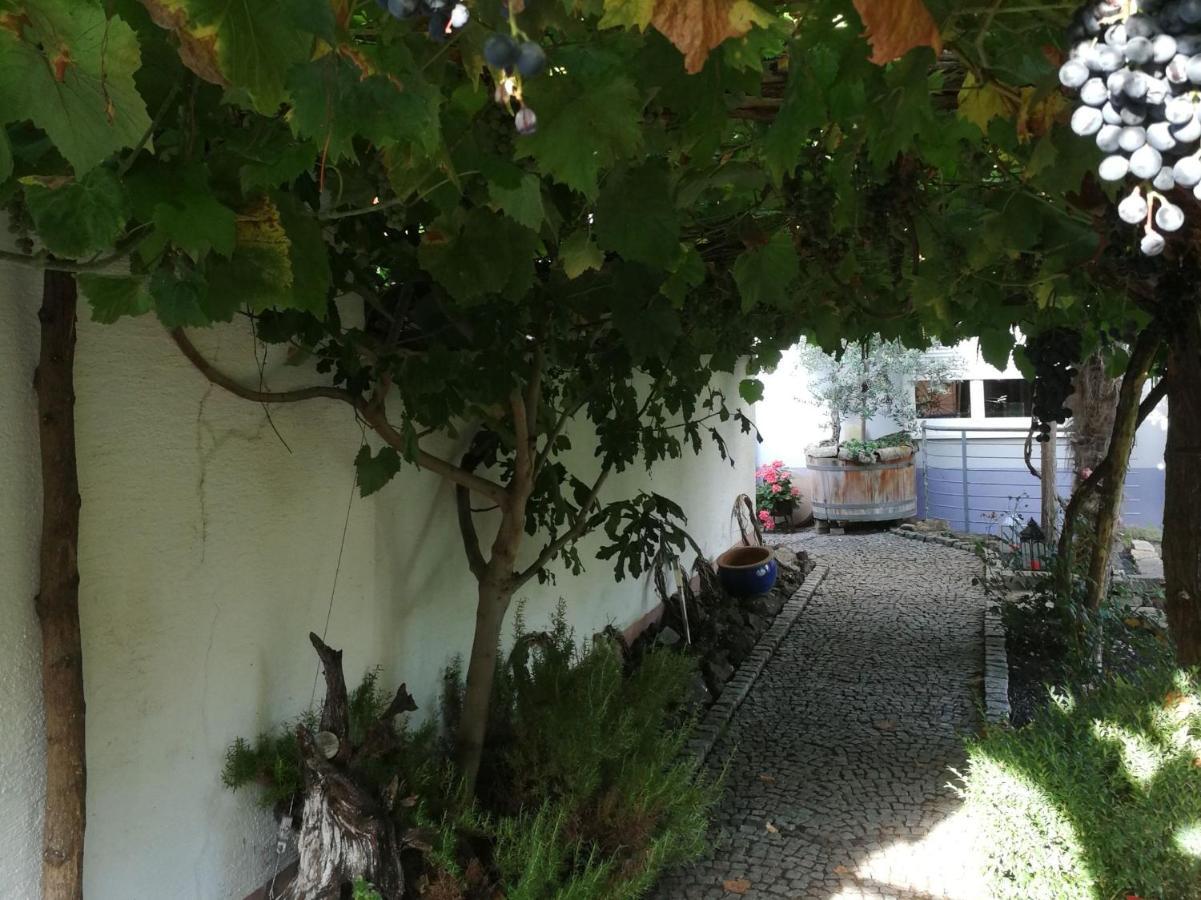 Haus Bienen Bed & Breakfast Ihringen Exterior photo